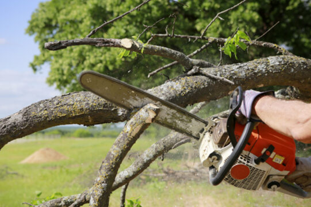 chainsaw